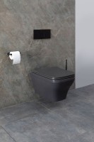 Унитаз подвесной Allen Brau Infinity 4.21011.AN безободковый, с микролифтом, антрацит