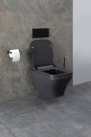 Унитаз подвесной Allen Brau Infinity 4.21011.AN безободковый, с микролифтом, антрацит