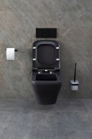 Унитаз подвесной Allen Brau Infinity 4.21011.AN безободковый, с микролифтом, антрацит