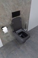 Унитаз подвесной Allen Brau Infinity 4.21011.AN безободковый, с микролифтом, антрацит