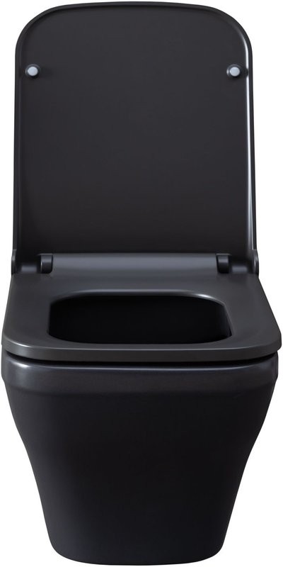 Унитаз подвесной Allen Brau Infinity 4.21011.AN безободковый, с микролифтом, антрацит