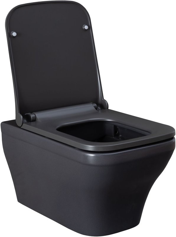 Унитаз подвесной Allen Brau Infinity 4.21011.AN безободковый, с микролифтом, антрацит