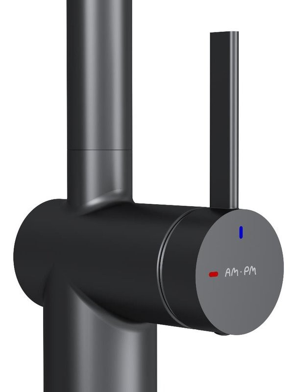 Смеситель для кухни AM.PM Func F8F07022 черный матовый