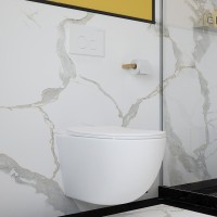 Унитаз подвесной Aqueduto Ovo OVO0120 безободковый, с микролифтом, белый матовый + Ершик Ridder Gaudy Gaudy 2231402 розовый