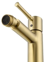 Смеситель для биде Wonzon & Woghand Tor WW-88016073-BG брашированное золото Смеситель для биде Wonzon & Woghand Tor WW-88016073-BG брашированное золото