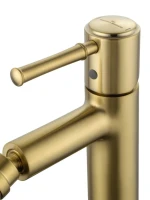 Смеситель для биде Wonzon & Woghand Tor WW-88016073-BG брашированное золото Смеситель для биде Wonzon & Woghand Tor WW-88016073-BG брашированное золото
