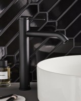Смеситель для раковины Jacob Delafon Grands Boulevards E77959-4AND-BL матовый черный