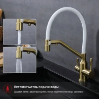 Смеситель для кухни с подключением фильтра Raglo R81.62.03, золотой сатин