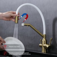 Смеситель для кухни с подключением фильтра Raglo R81.62.03, золотой сатин