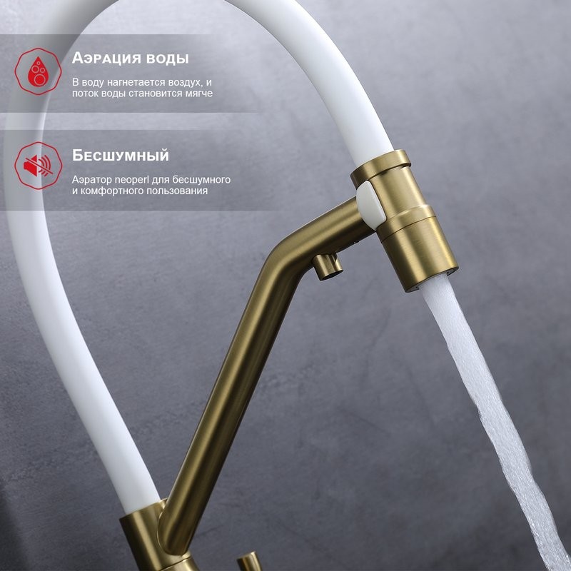 Смеситель для кухни с подключением фильтра Raglo R81.62.03, золотой сатин