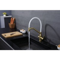 Смеситель для кухни с подключением фильтра Raglo R81.62.03, золотой сатин