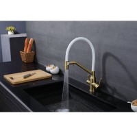 Смеситель для кухни с подключением фильтра Raglo R81.62.03, золотой сатин