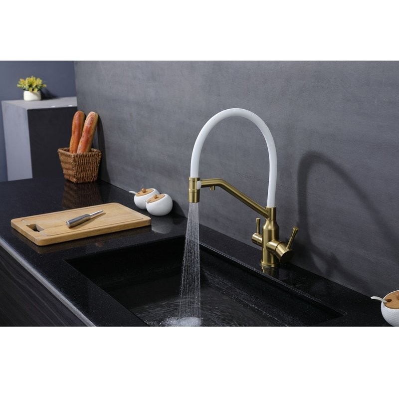 Смеситель для кухни с подключением фильтра Raglo R81.62.03, золотой сатин