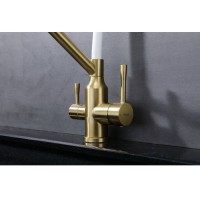 Смеситель для кухни с подключением фильтра Raglo R81.62.03, золотой сатин