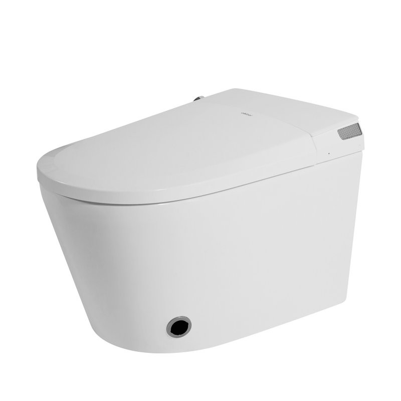 Комплект 2 в 1 Abber Bequem AC1119S-AC0101P2 Унитаз-биде электронный, подвесной + Монтажная рама