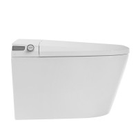 Комплект 2 в 1 Abber Bequem AC1119S-AC0101P2 Унитаз-биде электронный, подвесной + Монтажная рама