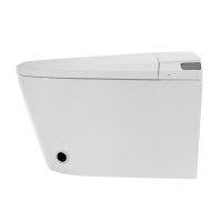 Комплект 2 в 1 Abber Bequem AC1119S-AC0101P2 Унитаз-биде электронный, подвесной + Монтажная рама