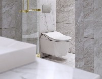 Умный унитаз подвесной Toto RP CW542EY крышка RW TCF801CG#NW1 с биде и микролифтом