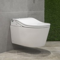 Умный унитаз подвесной Toto RP CW542EY крышка RW TCF801CG#NW1 с биде и микролифтом