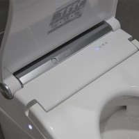 Умный унитаз подвесной Toto RP CW542EY крышка RW TCF801CG#NW1 с биде и микролифтом