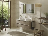 Накладная раковина Hansgrohe Xuniva S 60164450 Накладная раковина Hansgrohe Xuniva S 60164450