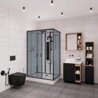 Душевая кабина Niagara Premium NG-6912-01GQL BLACK 120х80х210 левая, черная, с низким поддоном