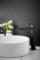 Смеситель для раковины BELZ B658 B11658-7 черный Смеситель для раковины BELZ B658 B11658-7 черный