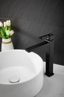 Смеситель для раковины BELZ B658 B11658-7 черный Смеситель для раковины BELZ B658 B11658-7 черный