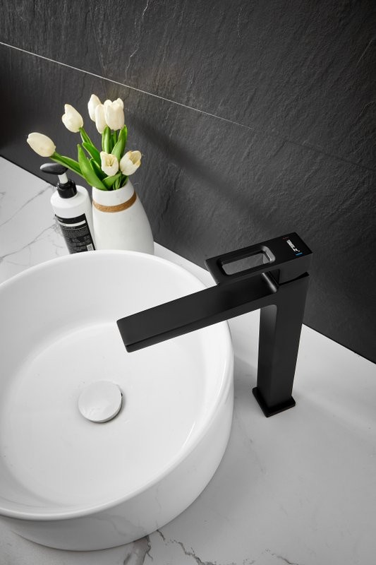 Смеситель для раковины BELZ B658 B11658-7 черный