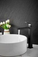 Смеситель для раковины BELZ B658 B11658-7 черный Смеситель для раковины BELZ B658 B11658-7 черный