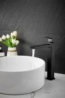 Смеситель для раковины BELZ B658 B11658-7 черный Смеситель для раковины BELZ B658 B11658-7 черный