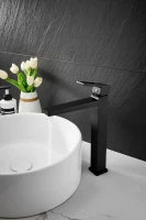 Смеситель для раковины BELZ B658 B11658-7 черный Смеситель для раковины BELZ B658 B11658-7 черный
