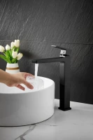 Смеситель для раковины BELZ B658 B11658-7 черный Смеситель для раковины BELZ B658 B11658-7 черный