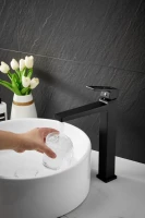 Смеситель для раковины BELZ B658 B11658-7 черный Смеситель для раковины BELZ B658 B11658-7 черный