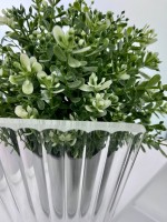 Душевая перегородка RGW Walk In WA-08G 90х195 см, профиль золото brush, стекло рифленое