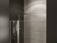 Душевая дверь в нишу Allen Brau Priority 3.31011.BA 140