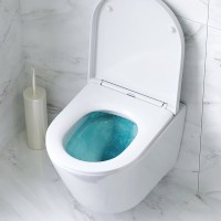 Комплект 5 в 1 AM.PM Sense IS90151.741701 с сиденьем микролифт