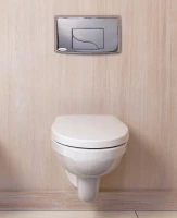 Унитаз подвесной Jacob Delafon Patio EDV102-00 безободковый + Крышка-сиденье Jacob Delafon Patio E4267 P