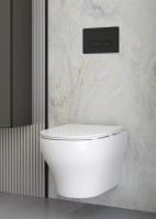 Унитаз подвесной Boheme Fiore 978-SET-W безободковый, с микролифтом, белый глянец