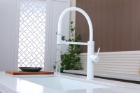 Смеситель для кухни Paulmark Ganymede Ga213199-WH с гибким изливом, белый матовый