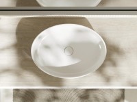 Накладная раковина Hansgrohe Xuniva D 60165450