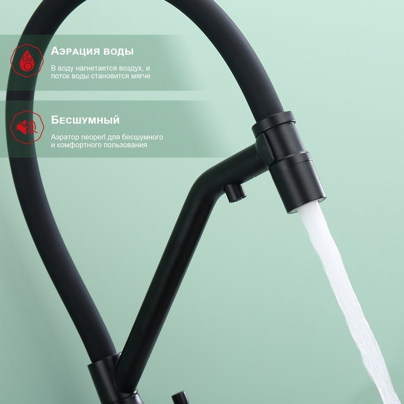 Смеситель для кухни с подключением фильтра Raglo R81.62.06, черный