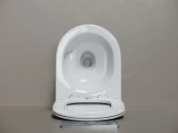 Подвесной унитаз Ceramicanova Play Торнадо безободковый CN3001T