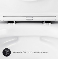 Комплект AM.PM Sense IS70151.741701 FlashClean с сиденьем микролифт, кнопка смыва хром глянцевая