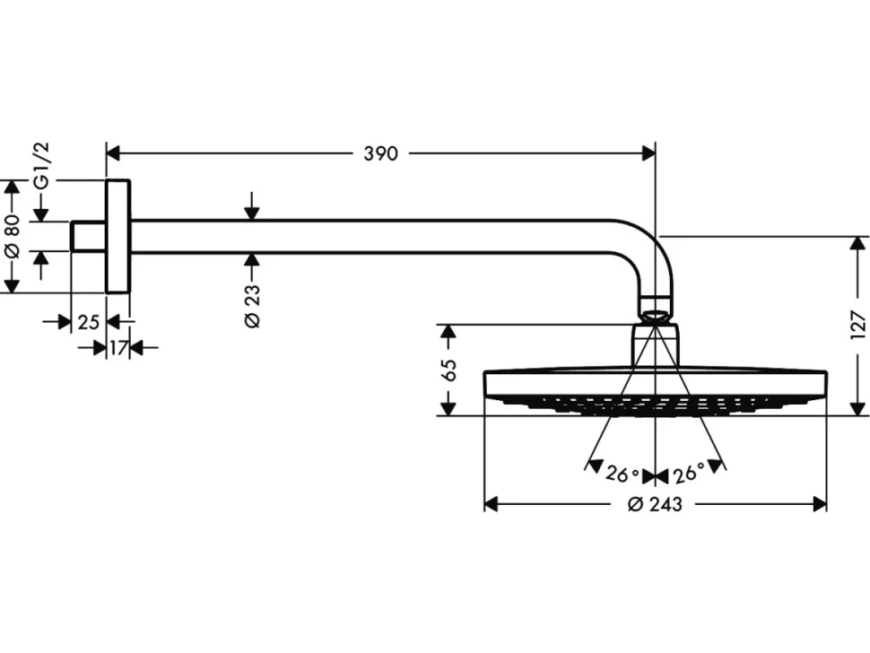 Верхний душ Hansgrohe Raindance Select S 240 2jet 26466000