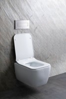Унитаз подвесной Allen Brau Liberty 4.33007.20 безободковый, с микролифтом, белый