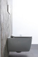 Унитаз подвесной Allen Brau Liberty 4.33007.20 безободковый, с микролифтом, белый