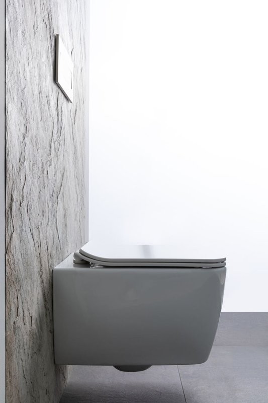 Унитаз подвесной Allen Brau Liberty 4.33007.20 безободковый, с микролифтом, белый