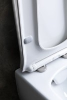 Унитаз подвесной Allen Brau Liberty 4.33007.20 безободковый, с микролифтом, белый