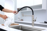 Смеситель для кухни Paulmark Ganymede Ga213199-BS с гибким изливом, брашированная сталь